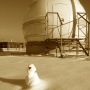 Dome Parts GmbH - Diderot University Paris